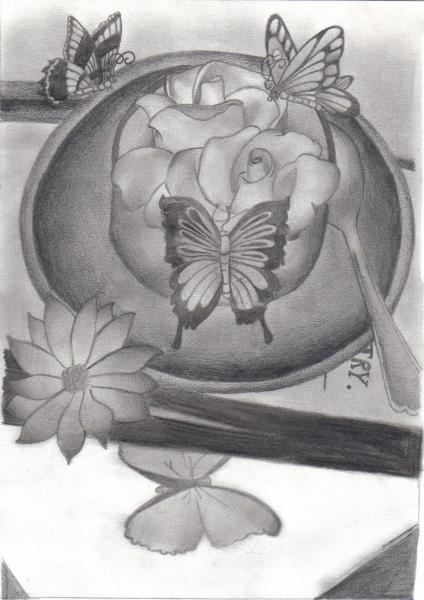 oOo Butterfly vs flowers oOo